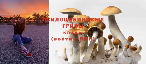 хмурый Лиски
