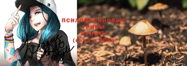 гидра Лихославль