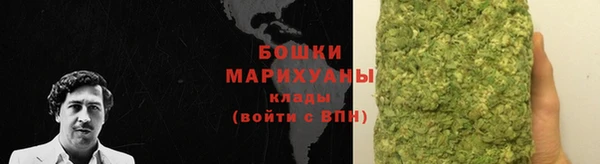 хмурый Лиски