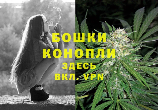 хмурый Лиски