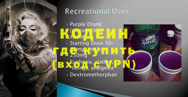 хмурый Лиски