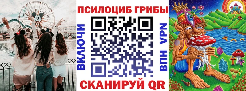 Галлюциногенные грибы Psilocybe даркнет сайт Азнакаево